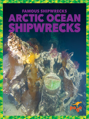 cover image of Arctic Ocean Shipwrecks